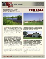 flyer